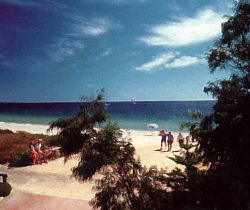 Acacia Caravan Park - Kempsey Accommodation 0