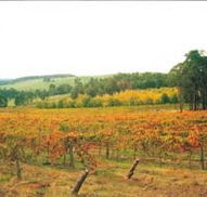 Byramgou Park - Kempsey Accommodation