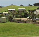 Ace Hi Riding Ranch - Kempsey Accommodation