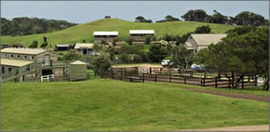 Ace Hi Riding Ranch - Kempsey Accommodation 0