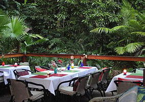 Daintree Rainforest Retreat Motel - Kempsey Accommodation 1
