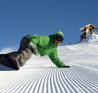 Snowbird Inn - Kempsey Accommodation