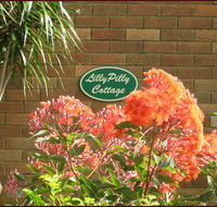 Lillypilly - Kempsey Accommodation
