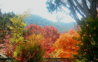 ELLENVALE HOLIDAY UNITS - Kempsey Accommodation 1