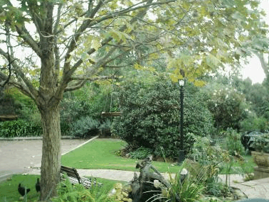 The Noble Grape - Kempsey Accommodation 1