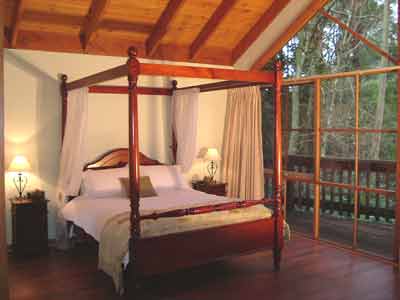 Belle Le Vie (Luxury B&B) - Kempsey Accommodation 2
