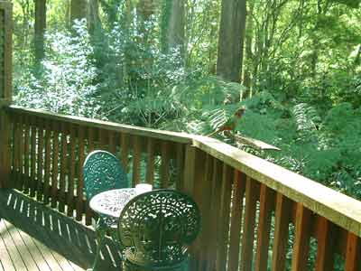 Belle Le Vie (Luxury B&B) - Kempsey Accommodation 4