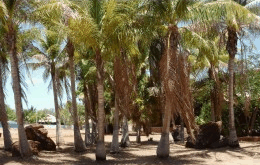 King Sound Resort Hotel - Kempsey Accommodation