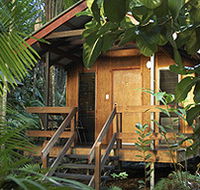 Cape Trib Beach House - Kempsey Accommodation