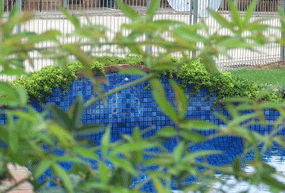 Arcadia Motor Inn - Kempsey Accommodation 4