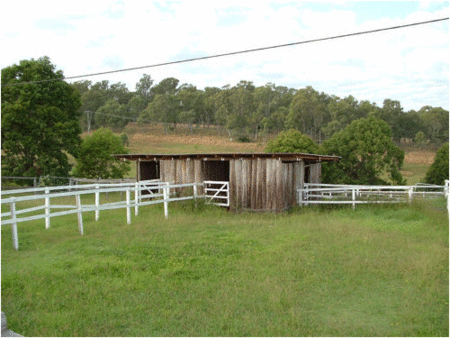 Jacaranda Motor Lodge - Kempsey Accommodation 1
