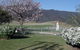 Araluen Old Courthouse - thumb 0