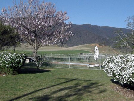 Araluen Old Courthouse - Kempsey Accommodation 0