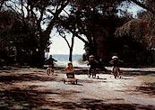 Acacia Caravan Park - Kempsey Accommodation 4
