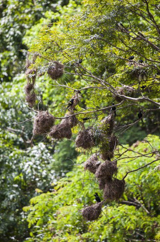 Lake Placid Tourist Park - Kempsey Accommodation 4