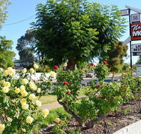 Narrogin Motel - Kempsey Accommodation