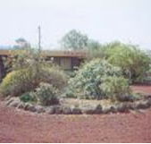 Beaufort Motel - Kempsey Accommodation