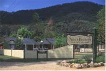 The Silver Birches Holiday Village - Kempsey Accommodation 0
