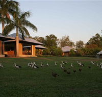 Feathers Sanctuary - Kempsey Accommodation