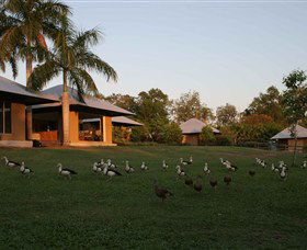 Feathers Sanctuary - Kempsey Accommodation 0