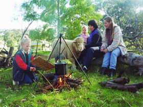 Sleepy Hollow Farm Cottage - Kempsey Accommodation 0