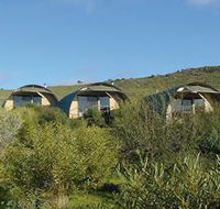 Saunders Gorge Sanctuary - Lodges - Kempsey Accommodation