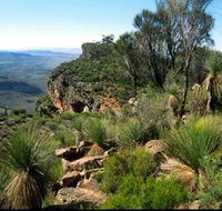 The Dutchmans Stern Old Homestead and Shearers Quarters - Kempsey Accommodation