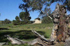 Saunders Gorge Sanctuary - Boundary Cottage - Kempsey Accommodation 1