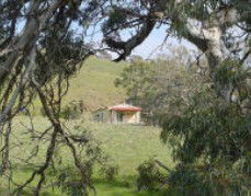 Saunders Gorge Sanctuary - Hideaway Cottage - Kempsey Accommodation 1