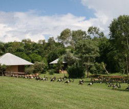 Feathers Sanctuary - Kempsey Accommodation 3