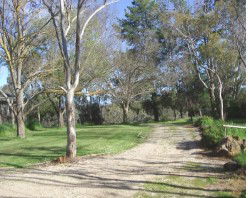 Kooringal Homestead - Kempsey Accommodation 2
