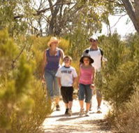 Long Island Caravan Park Cabins - Kempsey Accommodation