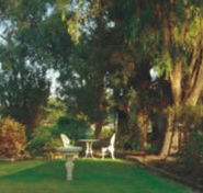 Riverfront Retreat - Kempsey Accommodation