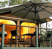 Jabiru Safari Lodge at Mareeba Wetlands - Kempsey Accommodation