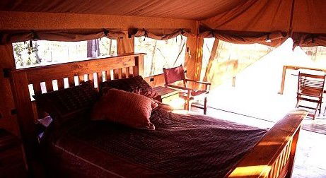 Jabiru Safari Lodge At Mareeba Wetlands - Kempsey Accommodation 1