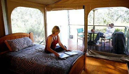 Jabiru Safari Lodge At Mareeba Wetlands - Kempsey Accommodation 2