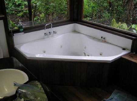 The Canopy Rainforest Tree Houses And Wildlife Sanctuary - Kempsey Accommodation 0