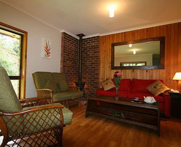 The Canopy Rainforest Tree Houses And Wildlife Sanctuary - Kempsey Accommodation 1