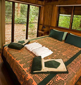 The Canopy Rainforest Tree Houses And Wildlife Sanctuary - Kempsey Accommodation 2