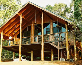The Canopy Rainforest Tree Houses And Wildlife Sanctuary - Kempsey Accommodation 4