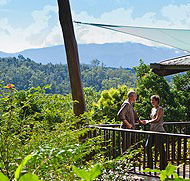 Rose Gums Wilderness Retreat - Kempsey Accommodation