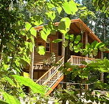 Rivers Edge Rainforest Retreat - Kempsey Accommodation