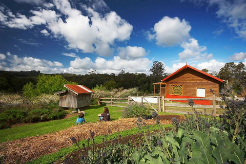 Elvenhome Farm Cottage - Kempsey Accommodation 6