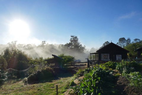 Elvenhome Farm Cottage - Kempsey Accommodation 9