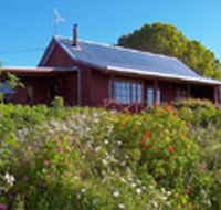 Gateforth Cottages - Kempsey Accommodation