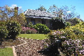 Camellia Cottage At Maple Hill - Kempsey Accommodation 0