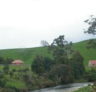 Tin Dragon Trail Cottages - Kempsey Accommodation