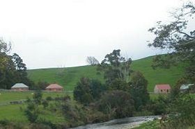 Tin Dragon Trail Cottages - Kempsey Accommodation 0