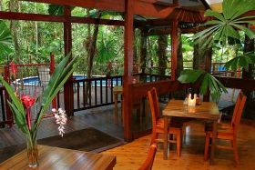 Daintree Wilderness Lodge - Kempsey Accommodation 0