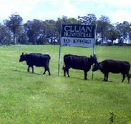 Cluan Homestead - The Managers Residence - Kempsey Accommodation